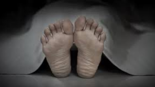 Aneh! Nenek 75 Tahun Ini Menyimpan Jasad Putrinya Di Dalam Freezer Hampir Selama Dua Dekade